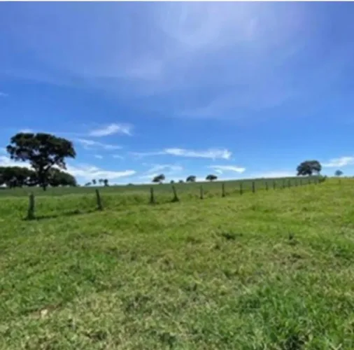 Vendo terra em Jacilândia