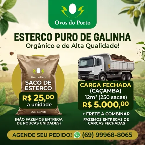 Esterco de Galinha