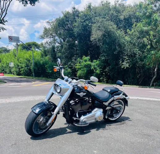 Harley davidson Fat boy19/20
