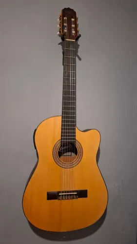 Violão Rozini