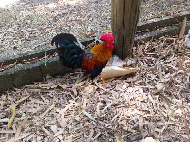 Casal Garnizé