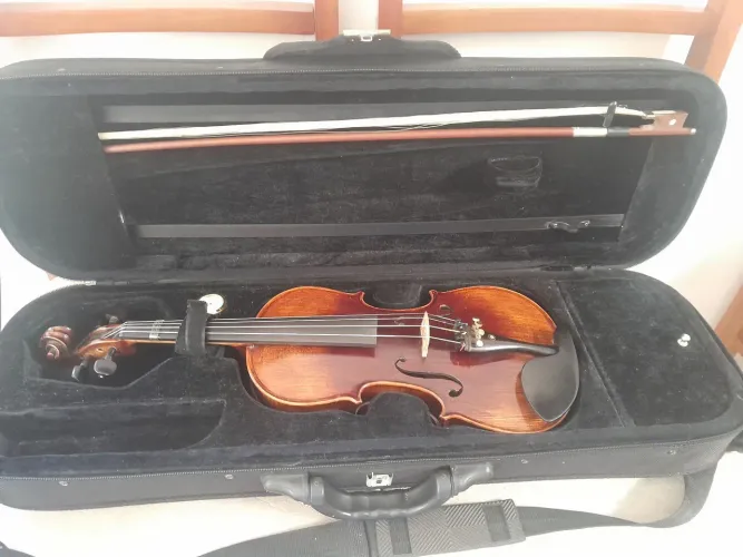 Vendo um violino eagle VK644 4/4 usado