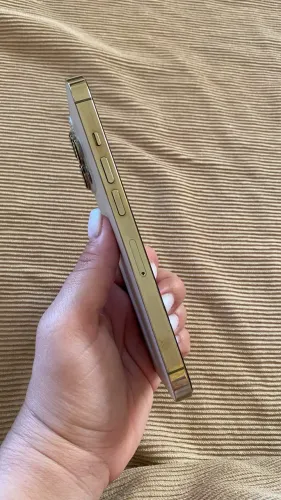 iPhone 13 Pro 264gb