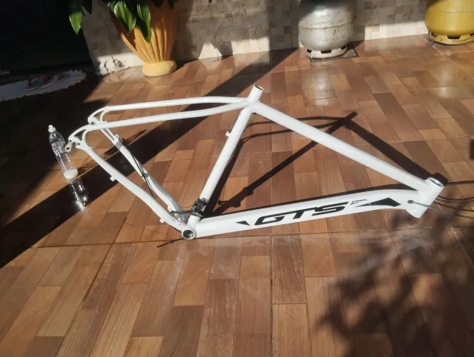Quadro GTS tamanho 21