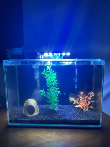 Aquario completo