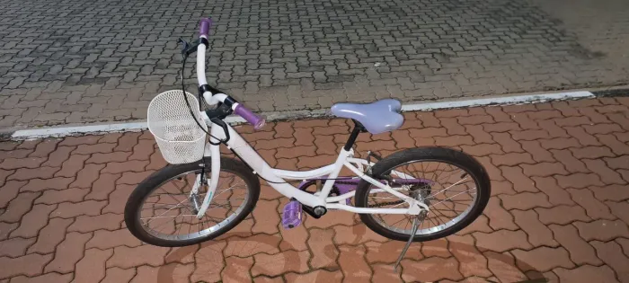 Bicicleta Caloi Ceci Aro 20 - Revisadada