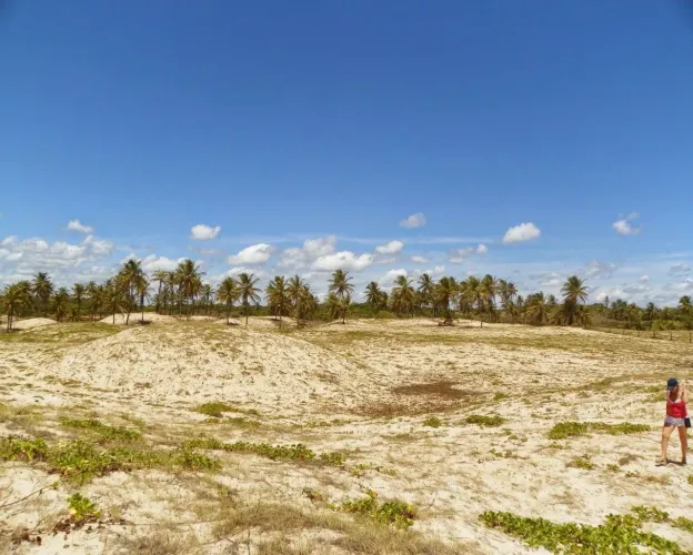 AREA COMERCIAL em JANDAÍRA - BA, JANDAÍRA