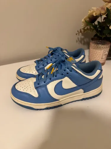 Nike dunk low coast 