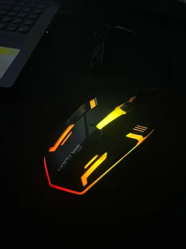 Mouse Gamer