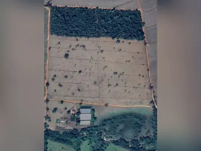 Sítio à Venda: 12,3 Alqueires em Iacanga-SP (Região de Bauru)