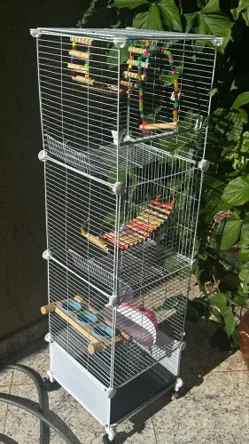 Gaiola de pássaros com todos os acessórios