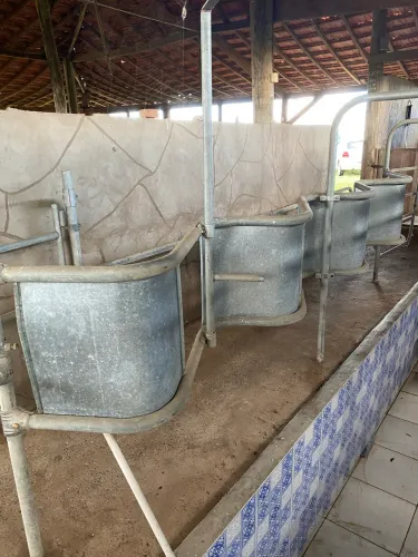 Ordenha canalizada Delaval