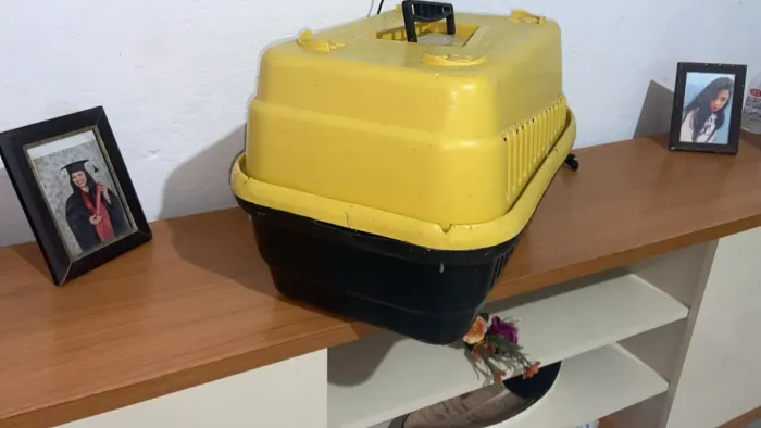 2 Caixas de Transporte de animais de pequeno porte