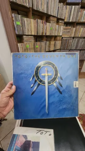 DISCOS VINIL LP TOTO PREÇO UNITARIO