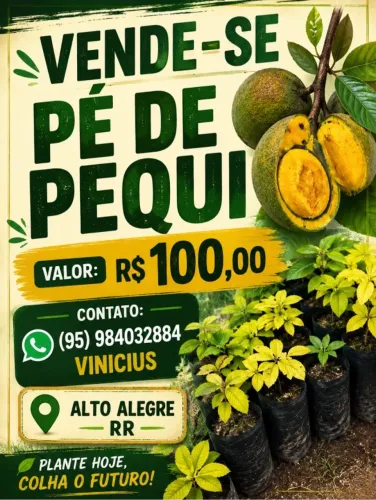 Pequi