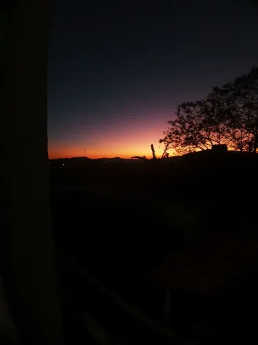 Venda jazigo Parque Renascer