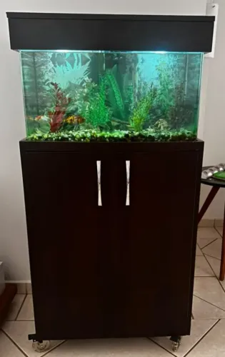 Aquário 60 litros, completo, com armário