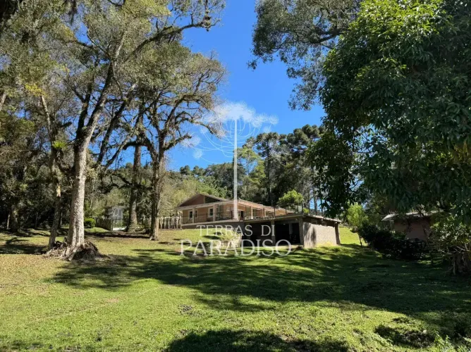 Área Rural com Residência, 5 Tanques e Projeto para Criação de Tilápias Campo Alegre/SC