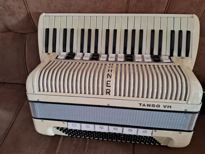Acordeon Sanfona HONNER 120 baixos