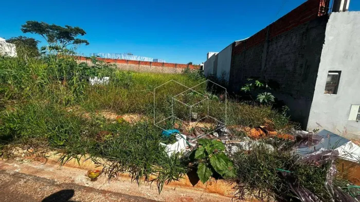 Terreno à venda, 254 m² por R$ 199.000,00 - Jardim Doutor Roberto Pacheco - Jaú/SP