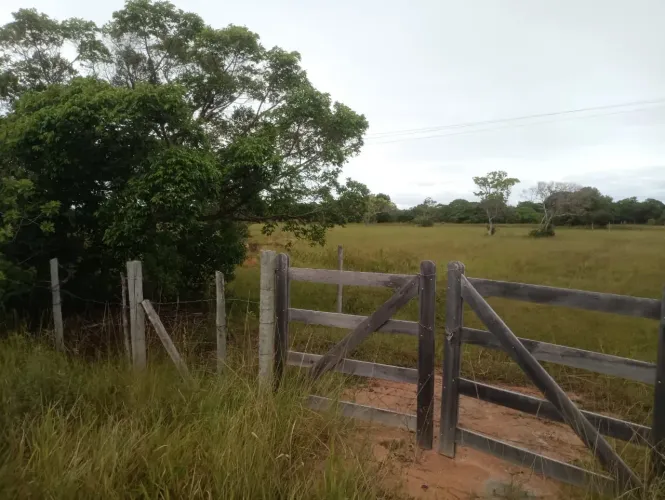 Areas entre 1600 m2 a 2000 m2 na Penha poucos metros do asfalto - Quissamã - RJ