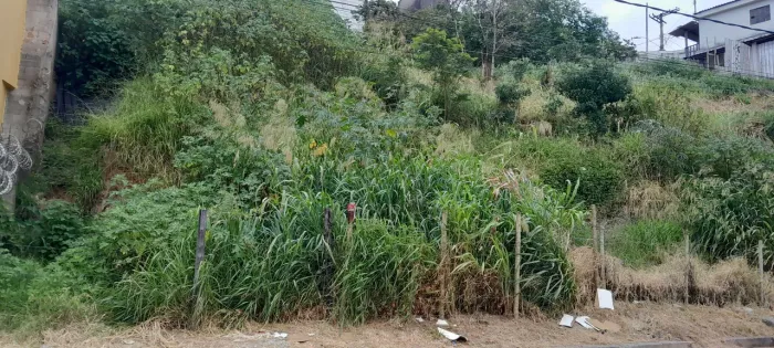 Vendo Lote 250m² bairro independência