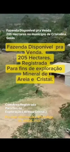 Fazenda Disponível pra Venda no Município de Cristalina. Goiás. 205 hectares. Registrada p