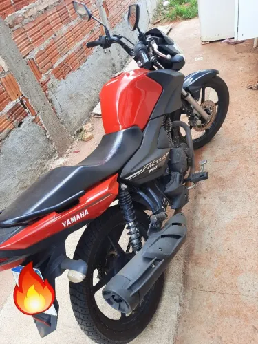 Factor 150 unico dono