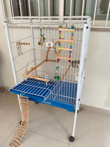 Gaiola para calopsita