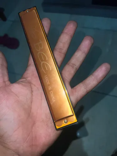 Gaita Harmônica BEE Dourada ? Usada