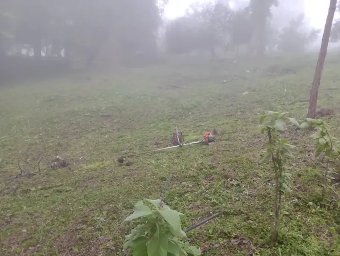 Jardineiro
