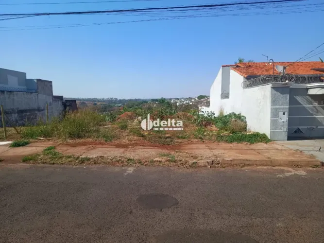 Terreno Padrão em Uberlândia