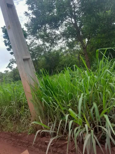 Terreno no distrito do Coração
