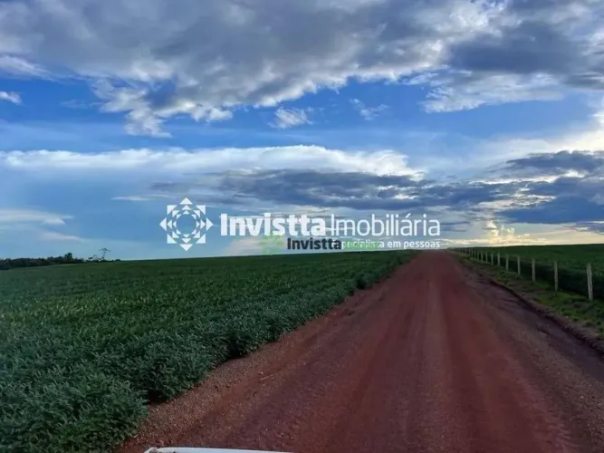 Fazenda de 940 alqueires com lavoura de soja e infraestrutura completa