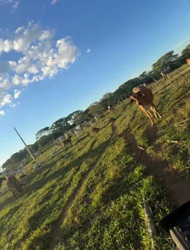 Fazenda água santa