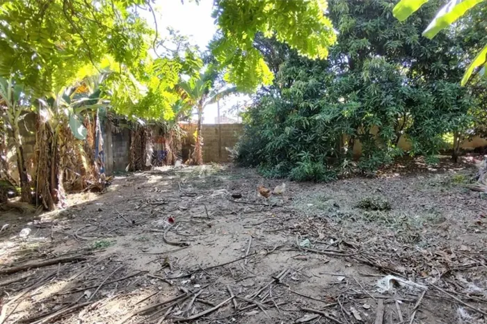 Terreno - Venda - Ótima Topografia - 200m2
