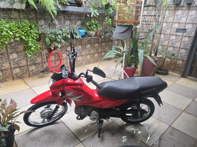 Honda POP
