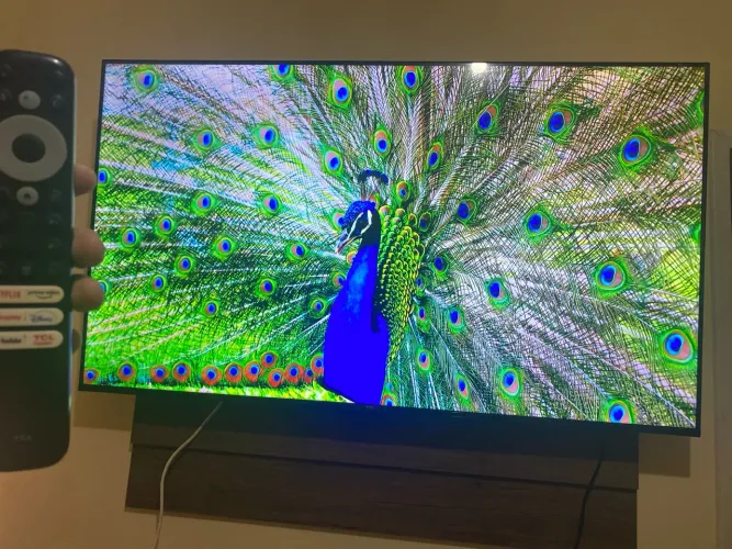 Tv TCL smart 55 polegadas com tela no plástico!
