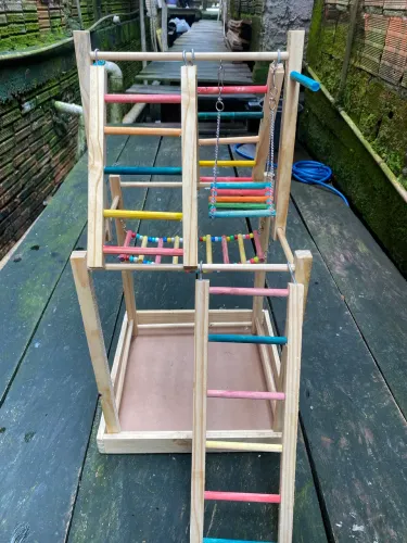 Playground para Calopsita