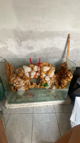 Aquário 