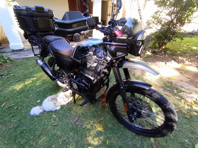 Himalayan 411 Completa 