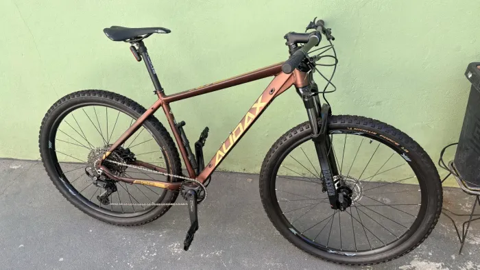 Adx 300 aro 29