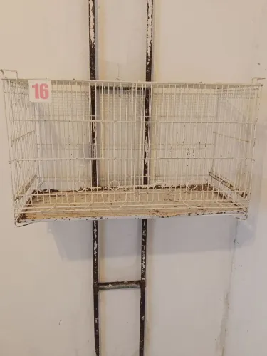 Vendo Gaiolas para canários