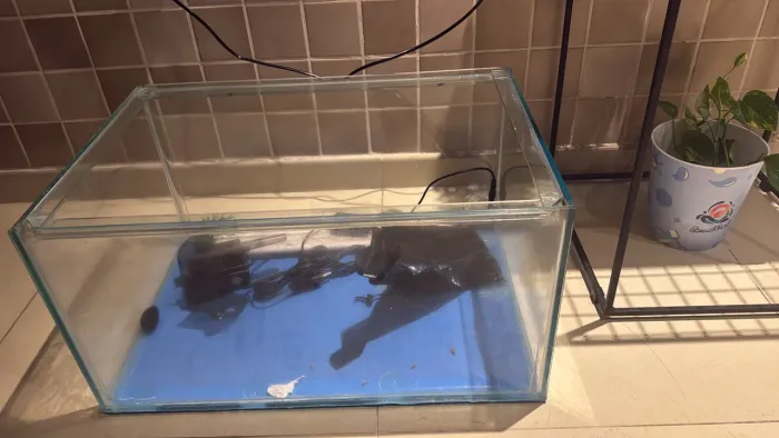 Aquário de 70 litros ou mais, desativado