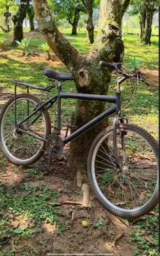 Bicicleta aro 26