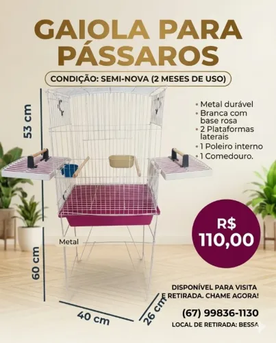 Gaiola Pássaros