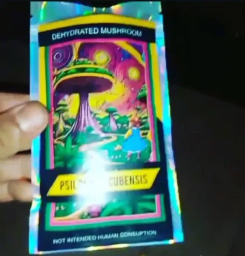 Sementes e amostras taxonômicas