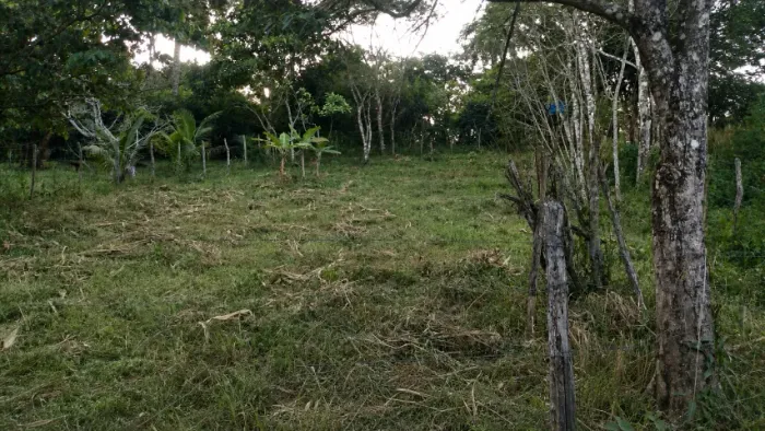 Oportunidade na Serra! Excelente Terreno 15x30 (450m²) no Sítio Piaba - Mulungu/CE