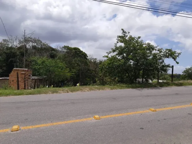 Terreno à venda em São José/SC