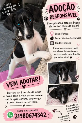doação